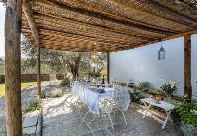 Villa in Lucca - Romantic Farmhouse with Oversize Panoramic Pool Villa in Lucca - Romantic Farmhouse with Oversize Panoramic Pool