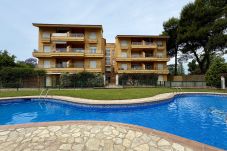 Апартаменты на L'Escala - ATHENEA 
