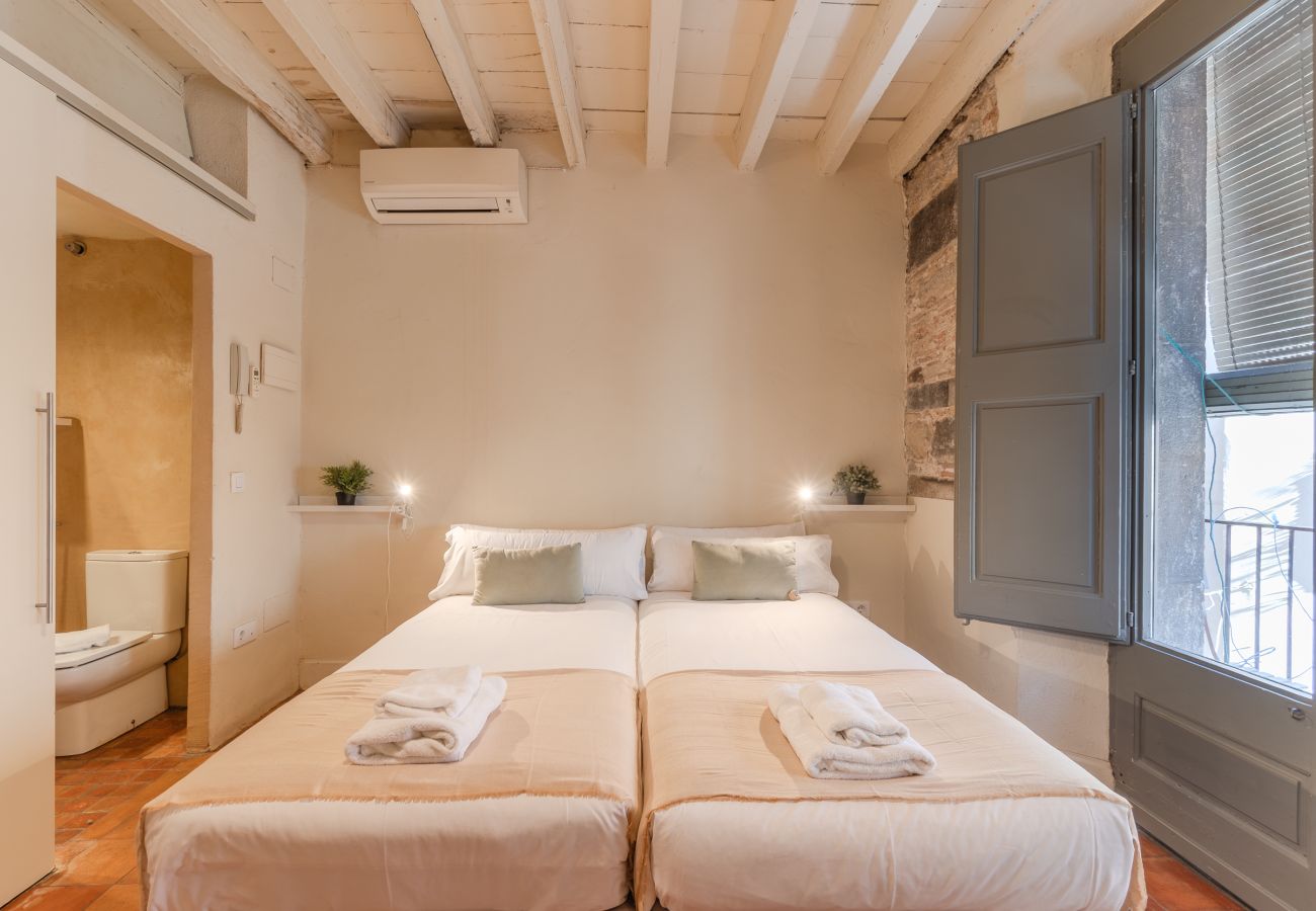 Апартаменты на Жирона / Girona - Ballesteries balcó 22