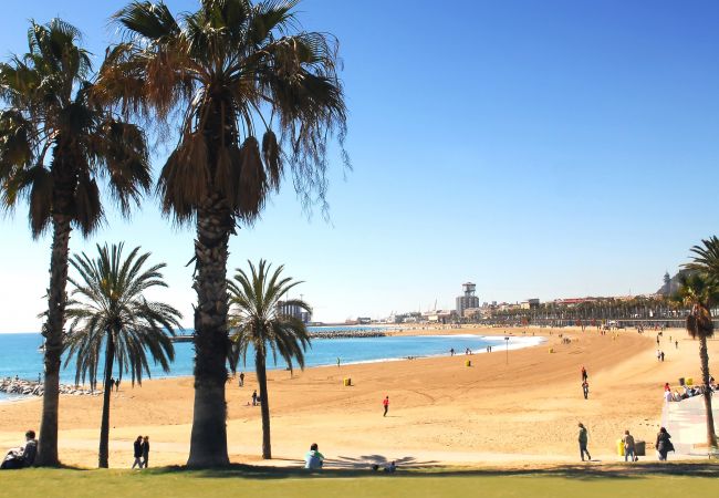 Апартаменты на Barcelona - Симпатичная отремонтированная квартира с частной террасой в центре Барселоны, Грасия Апартаменты на Barcelona - Симпатичная отремонтированная квартира с частной террасой в центре Барселоны, Грасия