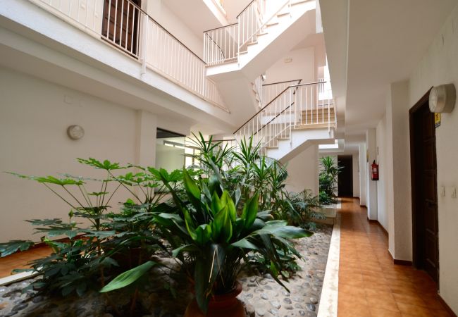 Апартаменты на Эстартит / Estartit - JARDINS DEL MAR 036 Апартаменты на Эстартит / Estartit - JARDINS DEL MAR 036