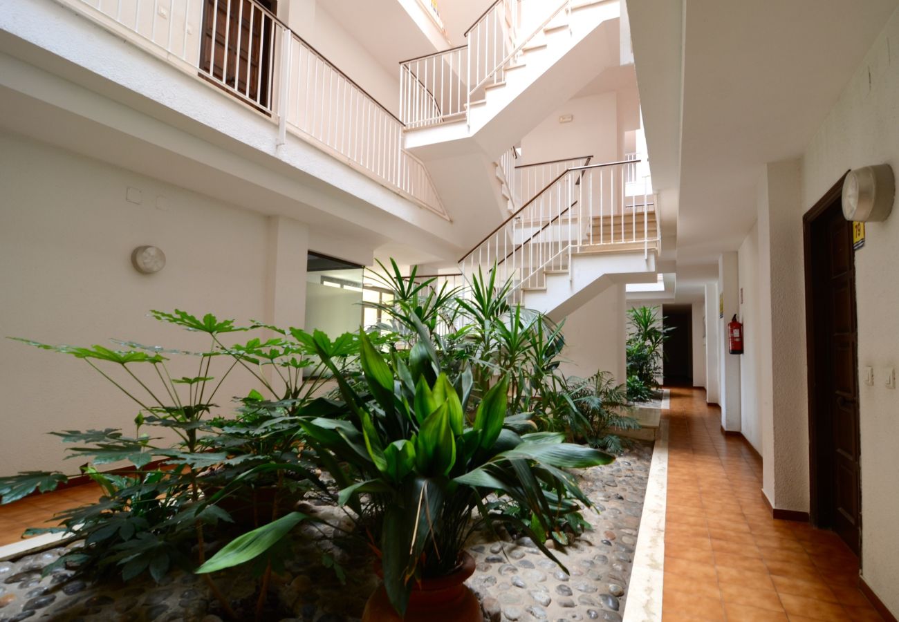 Апартаменты на Эстартит / Estartit - JARDINS DEL MAR 036 Апартаменты на Эстартит / Estartit - JARDINS DEL MAR 036