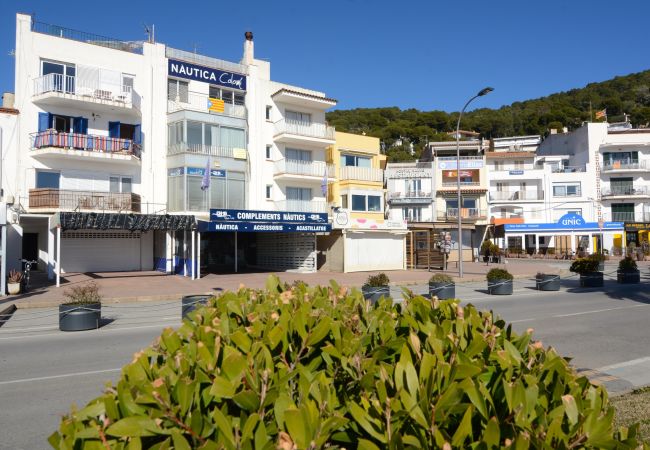 Апартаменты на Estartit - ARTS 2  APARTAMENT                                        Апартаменты на Estartit - ARTS 2  APARTAMENT