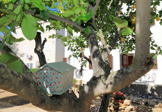 Дом на Alcúdia - Can Xim 080 fantástica casa cerca de la playa, con terraza, jardín, barbacoa y WiFi Дом на Alcúdia - Can Xim 080 fantástica casa cerca de la playa, con terraza, jardín, barbacoa y WiFi