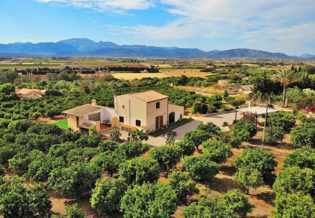 Особняк на Muro - Els Tarongers 081 fantástica finca con piscina privada, aire acondicionado, terraza y barbacoa Особняк на Muro - Els Tarongers 081 fantástica finca con piscina privada, aire acondicionado, terraza y barbacoa
