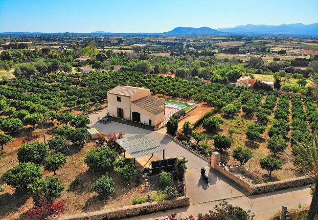 Особняк на Muro - Els Tarongers 081 fantástica finca con piscina privada, aire acondicionado, terraza y barbacoa Особняк на Muro - Els Tarongers 081 fantástica finca con piscina privada, aire acondicionado, terraza y barbacoa