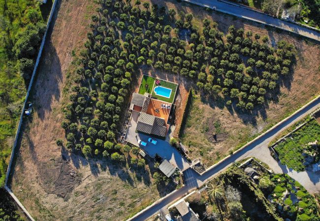 Особняк на Muro - Els Tarongers 081 fantástica finca con piscina privada, aire acondicionado, terraza y barbacoa Особняк на Muro - Els Tarongers 081 fantástica finca con piscina privada, aire acondicionado, terraza y barbacoa