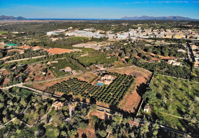 Особняк на Muro - Els Tarongers 081 fantástica finca con piscina privada, aire acondicionado, terraza y barbacoa Особняк на Muro - Els Tarongers 081 fantástica finca con piscina privada, aire acondicionado, terraza y barbacoa