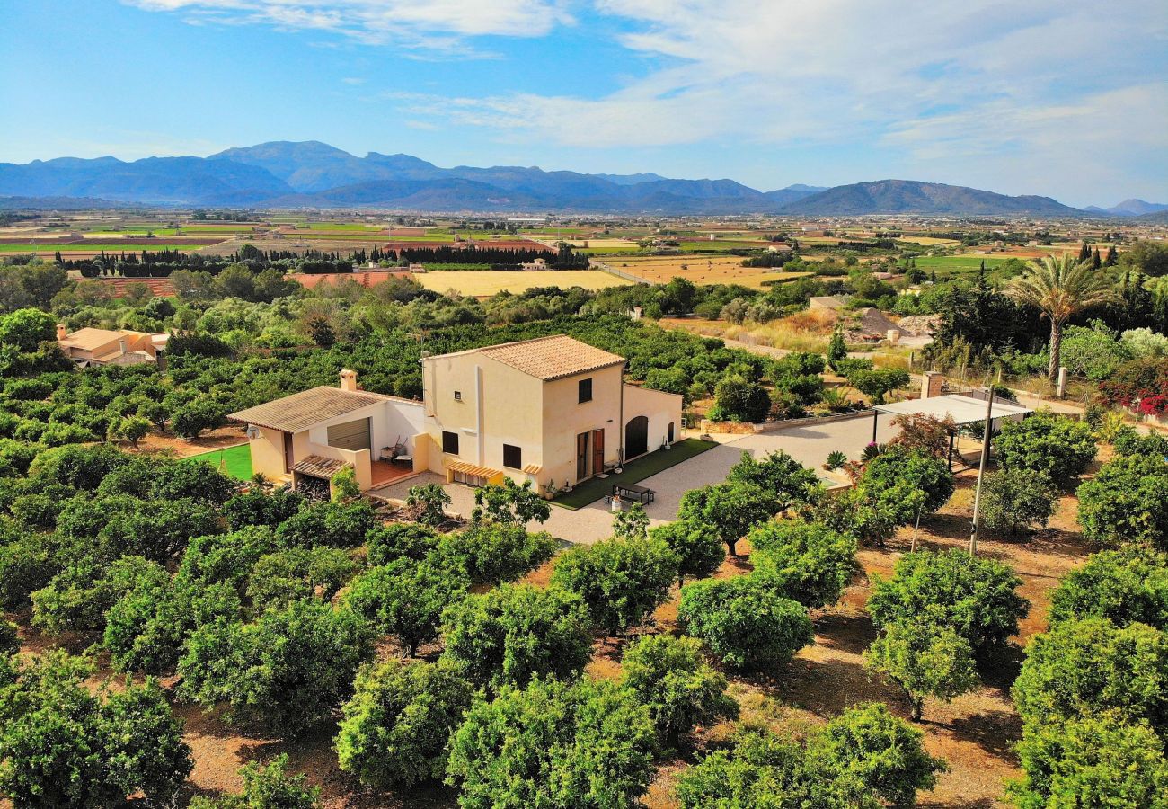 Особняк на Muro - Els Tarongers 081 fantástica finca con piscina privada, aire acondicionado, terraza y barbacoa Особняк на Muro - Els Tarongers 081 fantástica finca con piscina privada, aire acondicionado, terraza y barbacoa