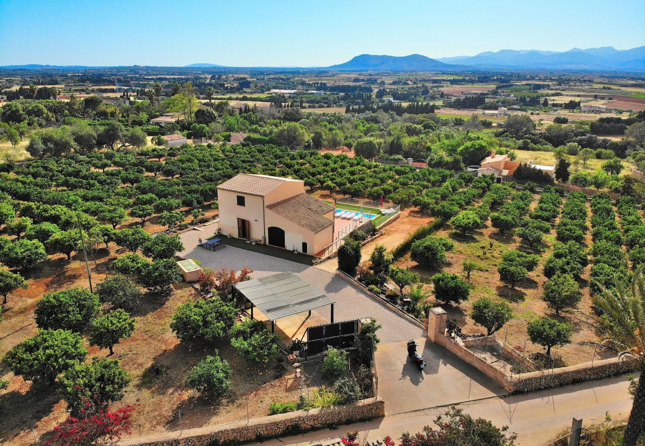 Особняк на Muro - Els Tarongers 081 fantástica finca con piscina privada, aire acondicionado, terraza y barbacoa Особняк на Muro - Els Tarongers 081 fantástica finca con piscina privada, aire acondicionado, terraza y barbacoa