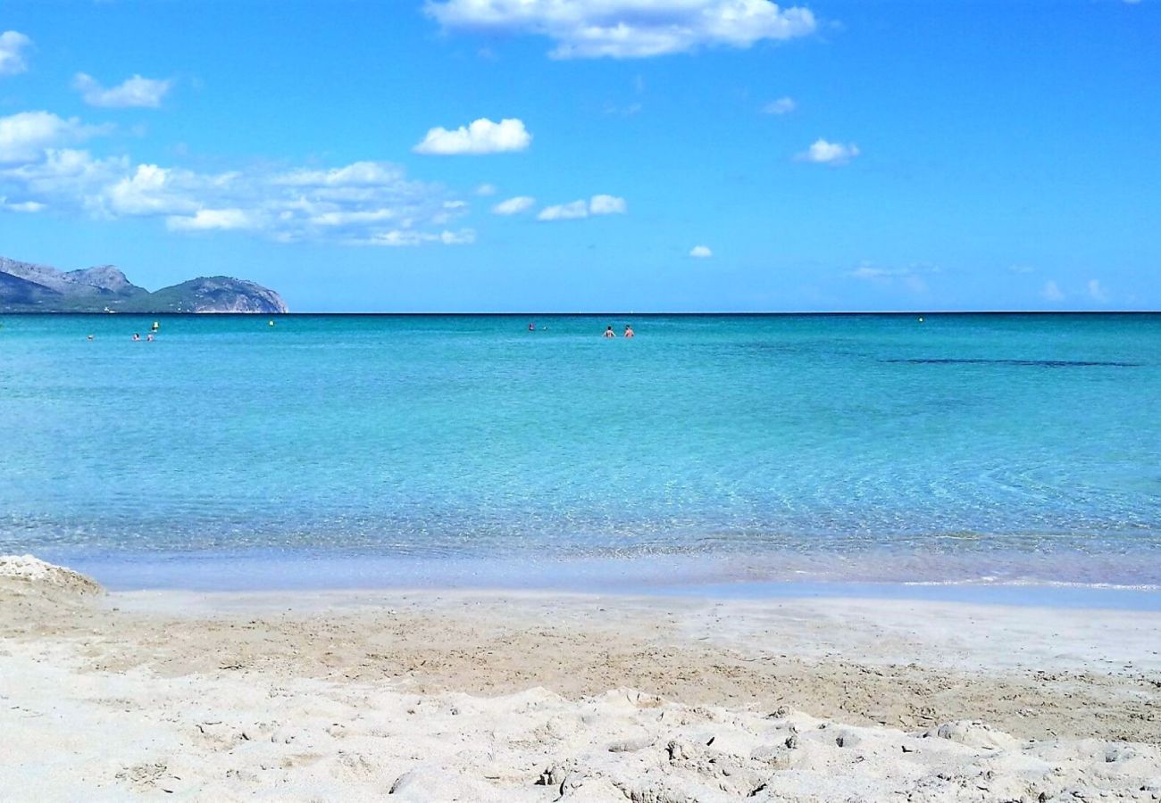 Шале на Can Picafort - Casa Alba 159 acogedora casa de vacaciones con jardín, terraza en zona residencial, barbacoa y WiFi Шале на Can Picafort - Casa Alba 159 acogedora casa de vacaciones con jardín, terraza en zona residencial, barbacoa y WiFi