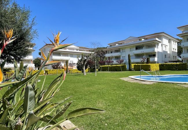 Апартаменты на Pals - GREEN MAR A 302 Апартаменты на Pals - GREEN MAR A 302