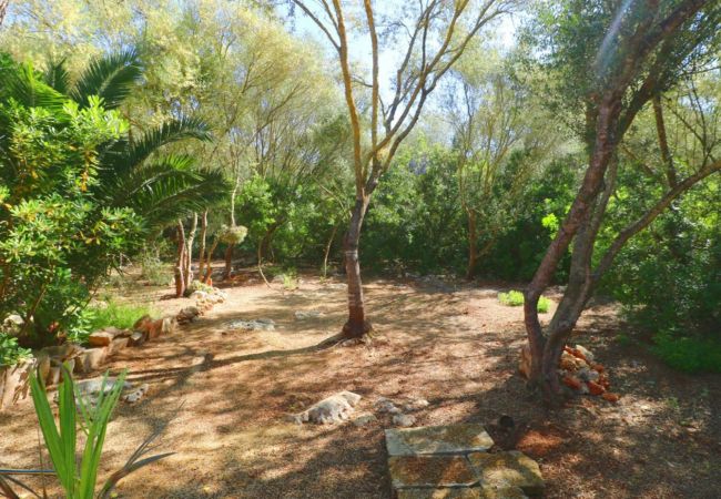 Особняк на Campos - Sa Costa 411 finca rústica con piscina privada, terraza, jardín y aire acondicionado Особняк на Campos - Sa Costa 411 finca rústica con piscina privada, terraza, jardín y aire acondicionado