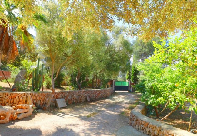 Особняк на Campos - Sa Costa 411 finca rústica con piscina privada, terraza, jardín y aire acondicionado Особняк на Campos - Sa Costa 411 finca rústica con piscina privada, terraza, jardín y aire acondicionado