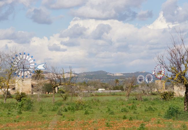 Особняк на Campos - Sa Costa 411 finca rústica con piscina privada, terraza, jardín y aire acondicionado Особняк на Campos - Sa Costa 411 finca rústica con piscina privada, terraza, jardín y aire acondicionado