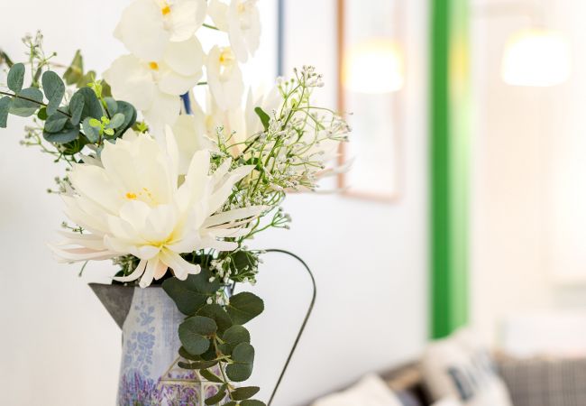 Апартаменты на San Sebastián/Donostia - Fotos BETI JAI Апартаменты на San Sebastián/Donostia - Fotos BETI JAI