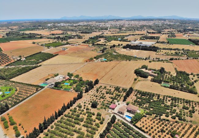 Вилла на Muro - Biniaco 239 magnífica villa con piscina privada, gran zona exterior, barbacoa y aire acondicionado Вилла на Muro - Biniaco 239 magnífica villa con piscina privada, gran zona exterior, barbacoa y aire acondicionado