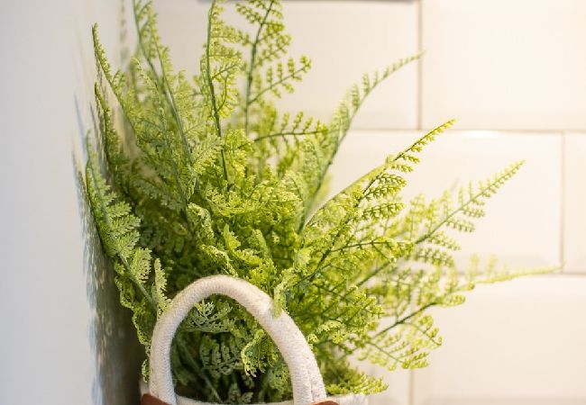 Апартаменты на Valencia - THE PORT SUITES APARTMENTS 8  Апартаменты на Valencia - THE PORT SUITES APARTMENTS 8