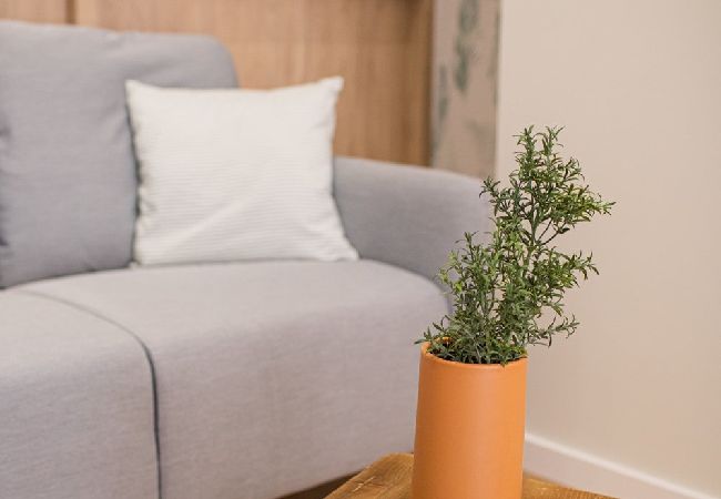 Квартира-студия на Валенсия город / Valencia - THE PORT SUITES APARTMENTS 4  Квартира-студия на Валенсия город / Valencia - THE PORT SUITES APARTMENTS 4