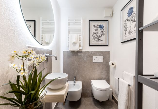 Апартаменты на Lucca - A Million Dollar's View: the Lucca Colosseum. Luxury 1 bedroom 1 Bathroom Apartment Апартаменты на Lucca - A Million Dollar's View: the Lucca Colosseum. Luxury 1 bedroom 1 Bathroom Apartment