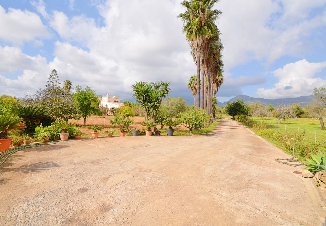 Особняк на Campanet - Can Nina 198 tradicional finca con piscina privada, terraza, barbacoa y WiFi Особняк на Campanet - Can Nina 198 tradicional finca con piscina privada, terraza, barbacoa y WiFi