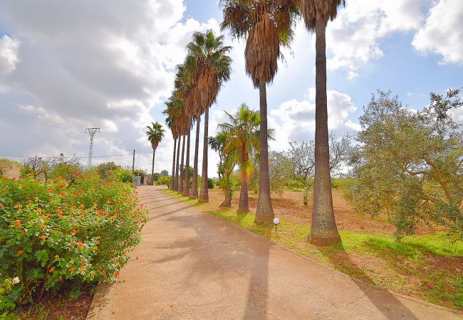 Особняк на Campanet - Can Nina 198 tradicional finca con piscina privada, terraza, barbacoa y WiFi Особняк на Campanet - Can Nina 198 tradicional finca con piscina privada, terraza, barbacoa y WiFi