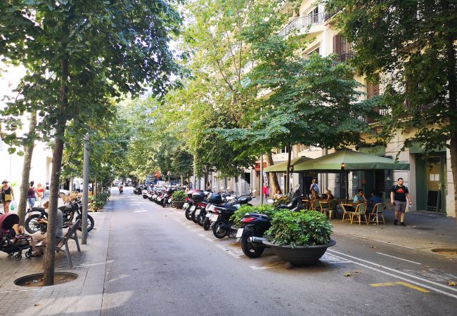 Апартаменты на Barcelona - EIXAMPLE CENTER NEXT TO PASSEIG GRACIA Апартаменты на Barcelona - EIXAMPLE CENTER NEXT TO PASSEIG GRACIA