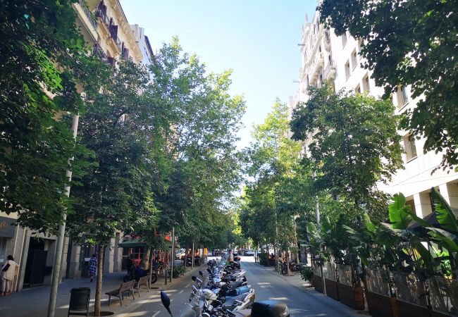 Апартаменты на Barcelona - EIXAMPLE CENTER NEXT TO PASSEIG GRACIA Апартаменты на Barcelona - EIXAMPLE CENTER NEXT TO PASSEIG GRACIA