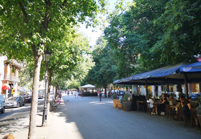 Апартаменты на Barcelona - EIXAMPLE CENTER NEXT TO PASSEIG GRACIA Апартаменты на Barcelona - EIXAMPLE CENTER NEXT TO PASSEIG GRACIA