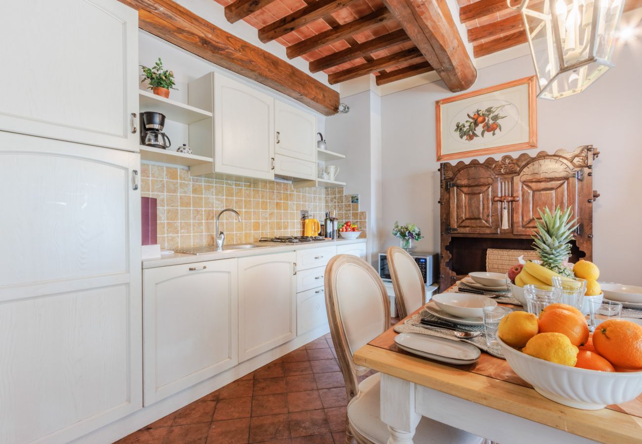Апартаменты на Monte San quirico - Elisa Farmhouse Apartment in Wine Resort in Lucca Апартаменты на Monte San quirico - Elisa Farmhouse Apartment in Wine Resort in Lucca