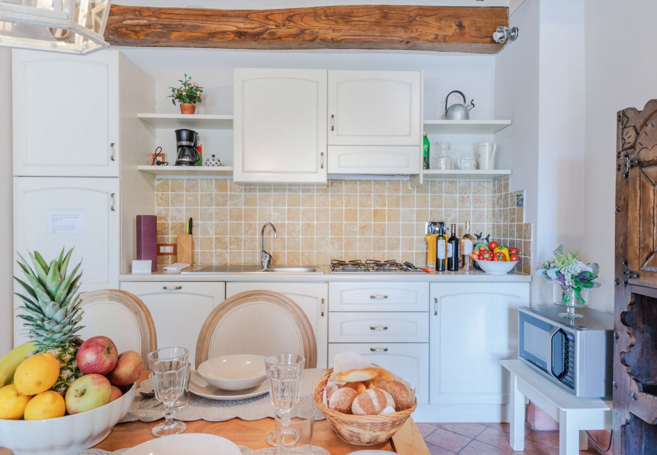 Апартаменты на Monte San quirico - Elisa Farmhouse Apartment in Wine Resort in Lucca Апартаменты на Monte San quirico - Elisa Farmhouse Apartment in Wine Resort in Lucca