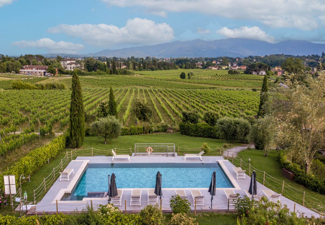 Апартаменты на Monte San quirico - Pietro Farmhouse Apartment in Wine Resort in Lucca Апартаменты на Monte San quirico - Pietro Farmhouse Apartment in Wine Resort in Lucca