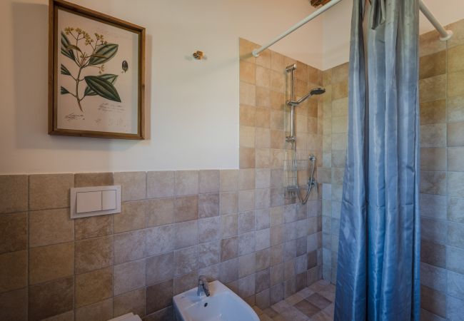 Апартаменты на San Gennaro - Casa Pinocchio, a Luxury Country Apartment with Pool in Lucca Апартаменты на San Gennaro - Casa Pinocchio, a Luxury Country Apartment with Pool in Lucca