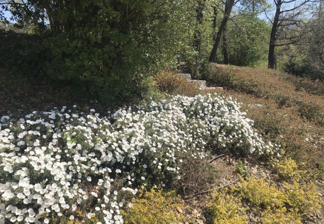 Апартаменты на San Gennaro - Casa Lucchese, a farmhouse apartment with pool on the hills of Lucca Апартаменты на San Gennaro - Casa Lucchese, a farmhouse apartment with pool on the hills of Lucca