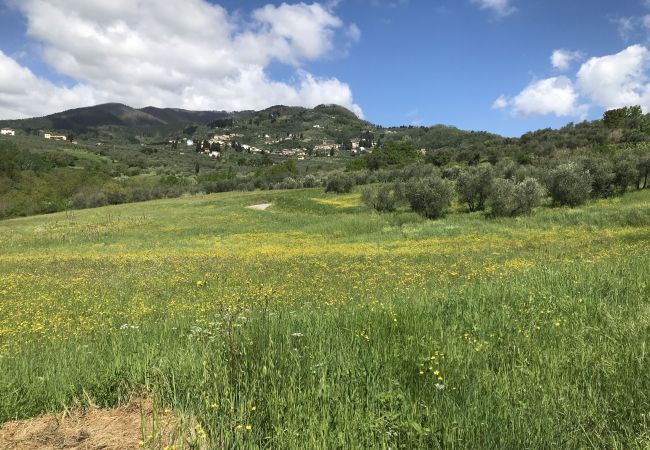Апартаменты на San Gennaro - Casa Santo, a sweet country apartment with pool on the hills of Lucca  Апартаменты на San Gennaro - Casa Santo, a sweet country apartment with pool on the hills of Lucca