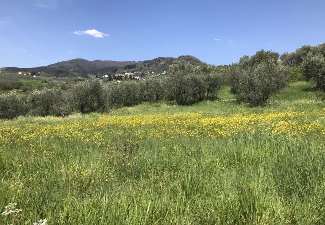 Апартаменты на San Gennaro - Casa Gennaro a 3 bedrooms farmhouse apartment with pool in Lucca Апартаменты на San Gennaro - Casa Gennaro a 3 bedrooms farmhouse apartment with pool in Lucca