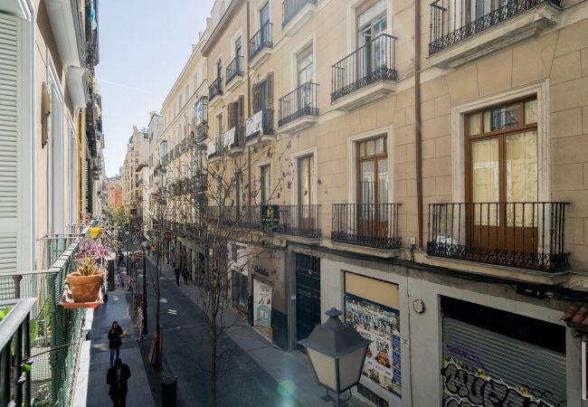 Апартаменты на Madrid - Hermoso apartamento Plaza Zerolo INF1C Апартаменты на Madrid - Hermoso apartamento Plaza Zerolo INF1C