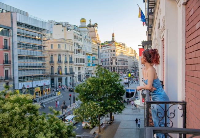 Апартаменты на Madrid - Lujoso y Elegante Calle Alcalá Madrid Centro ALC35 Апартаменты на Madrid - Lujoso y Elegante Calle Alcalá Madrid Centro ALC35