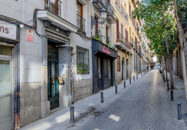 Апартаменты на Madrid - Encantadora vivienda de dos dormitorios en el Centro de Madrid. Temporal Апартаменты на Madrid - Encantadora vivienda de dos dormitorios en el Centro de Madrid. Temporal