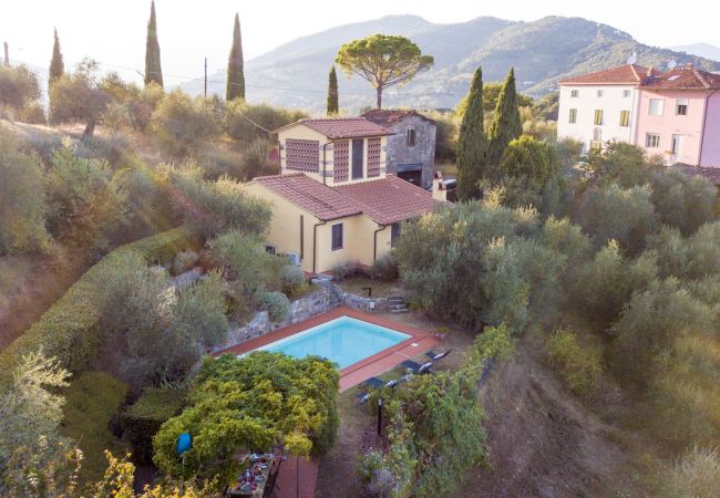 Вилла на Lucca - Villa Debby, 2 bedrooms Farmhouse with Pool on the Hills of Lucca Вилла на Lucca - Villa Debby, 2 bedrooms Farmhouse with Pool on the Hills of Lucca