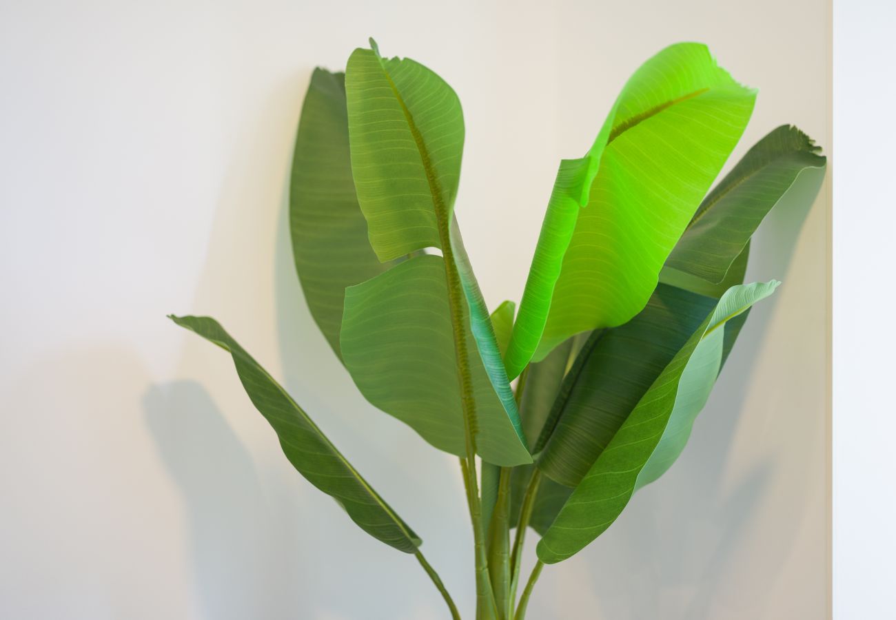 Дом на Лас Пальмас де Гран Канариа / Las Palmas de Gran Canaria - Castle of light By Canariasgetaway Дом на Лас Пальмас де Гран Канариа / Las Palmas de Gran Canaria - Castle of light By Canariasgetaway