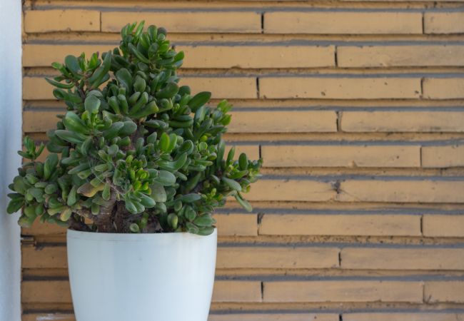 Апартаменты на Bilbao - Horia apartment Апартаменты на Bilbao - Horia apartment