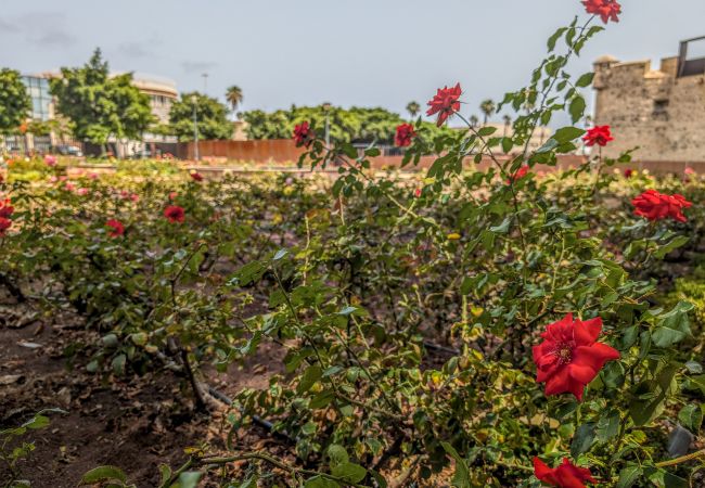 Дом на Las Palmas de Gran Canaria - Castle Views By CanariasGetaway Дом на Las Palmas de Gran Canaria - Castle Views By CanariasGetaway