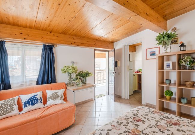 Апартаменты на Viareggio - Simple Duplex Apartment with Terrace in Viareggio Апартаменты на Viareggio - Simple Duplex Apartment with Terrace in Viareggio