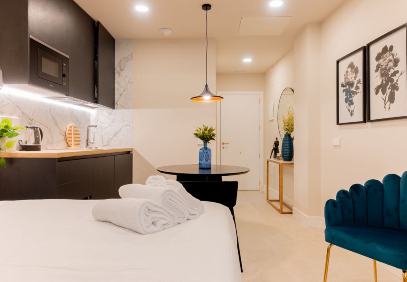 Квартира-студия на Мадрид город / Madrid - Estudio Oriente – Diseño y confort en DELICIAS MADRID Квартира-студия на Мадрид город / Madrid - Estudio Oriente – Diseño y confort en DELICIAS MADRID