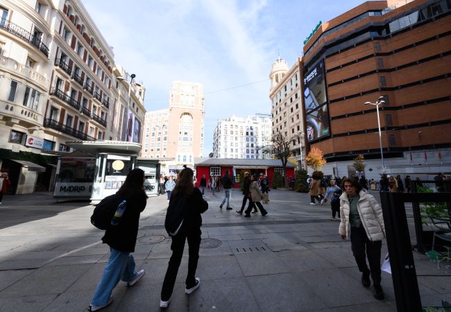 Апартаменты на Madrid - Elegante vivienda de 3 habitaciones en el centro de Madrid  Апартаменты на Madrid - Elegante vivienda de 3 habitaciones en el centro de Madrid