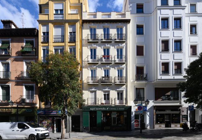 Апартаменты на Madrid - Encanto y comodidad en el corazón de Madrid .Temporal Апартаменты на Madrid - Encanto y comodidad en el corazón de Madrid .Temporal