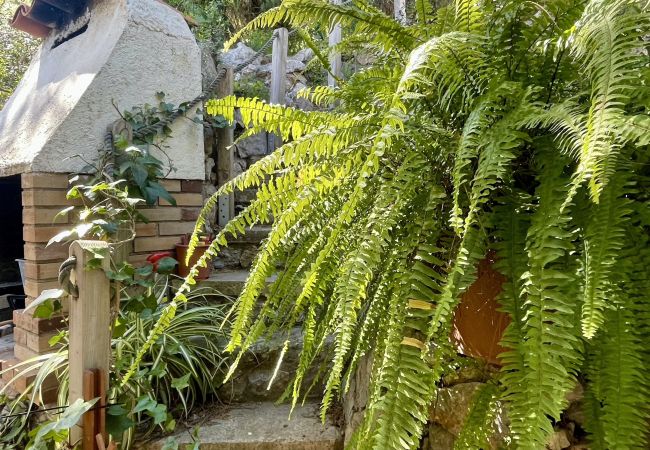 Дом на Estartit - LA MOLEDERA 112 Дом на Estartit - LA MOLEDERA 112