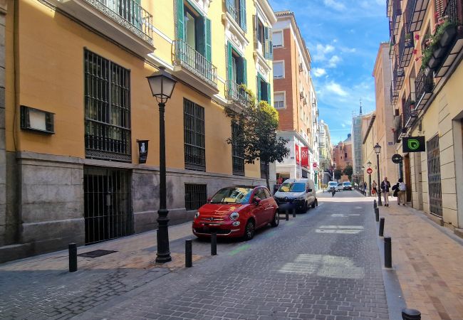 Апартаменты на Madrid - Apartamento de 1 dormitorio cerca de Plaza España-Madrid  Апартаменты на Madrid - Apartamento de 1 dormitorio cerca de Plaza España-Madrid