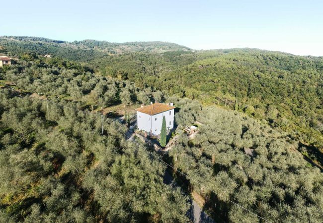 Вилла на Lucca - Romantic Farmhouse with Oversize Panoramic Pool Вилла на Lucca - Romantic Farmhouse with Oversize Panoramic Pool